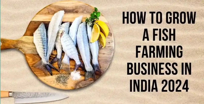 Fish farming business setup in India with ponds and fish tanks